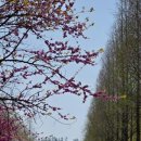 범서생활체육공원 2 이미지