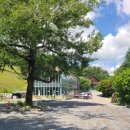 꿈벌사슴목장 이미지