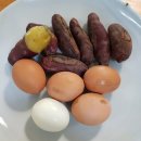 매일계란 이미지