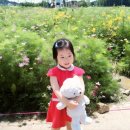 한밭 체육관 이미지