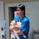 생의 공간 | 영화 파과 리뷰 65세 킬러의 뜨거운 사투와 생의 의미