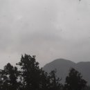 화순임중로 이미지