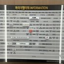 마요미테라피 이미지