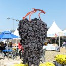 무주농협하나로마트 이미지