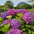 안덕면사무소 앞 이미지