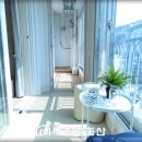 동화5차 이미지