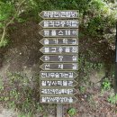 길운목장 | [월정사, 전나무숲길] 강원도 평창군 힐링 여행지 천년의 숲 오대산국립공원 산잭 코스