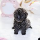 오마이프렌즈 이미지