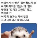 핏다이어트캠프 이미지