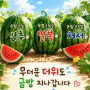 가을 초입 .. 이미지