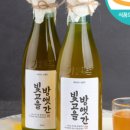 빛고을 낙지 이미지