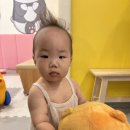 카페426