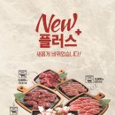 이차돌 티스토리