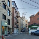 살롱율