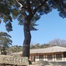 수덕사선미술관 이미지