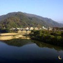 배꽃다방 이미지