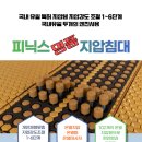 피닉스 지압침대 이미지