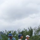 이프로골프아카데미 이미지