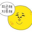 달보다가