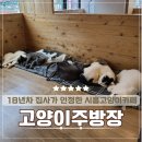 휴먼프라자 | [시흥]귀여운 소동물 댕냥이와 함께하는 파스타 맛집, 고양이주방장
