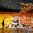 우주태권도체육관 | 강화도 아이와 가볼만한곳 고인돌유적지 역사박물관 자연사박물관 추천