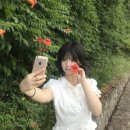 공원로352번길 이미지