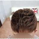 수원-1381 이미지