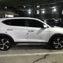 굴화셀프 이미지