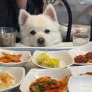 찬의여왕 | [내돈솔직후기] 목포현지인이 먹고온 찬의여왕 백반