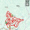 도그센추리 이미지