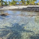 Hi후레쉬마트 | [하와이] 찐자연을 경험하고 싶다면 빅아일랜드 2 (브런치, 코나커피 농장, 스노클링 스팟, 마우나케아...