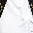 국가대표정도태권도