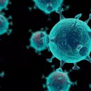 명보수산 이미지