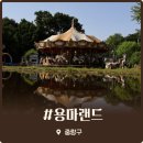 용마바베큐파티 | 서울 출사지 추천 중랑구 용마랜드 옛날 감성 가득한 스냅사진 성지 뚜벅이 방문 솔직후기