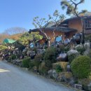 합천숯불식당 | 합천 한정식(오곡밥) 맛집 “합천호 관광농원”