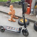 우림화원