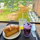 청년피자 부산서구점 | 부산 강서구 카페 비아조/ 낙동강 뷰를 품은 이국적 풍경에 어쩌다 에어쇼까지