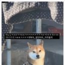 대송광고