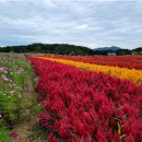 (주)한사랑여행