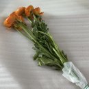 어니스트 짐 | 어니스트플라워 새벽 배송 라넌큘러스 내돈내산 구매 후기 | 추천인 파스티니거베라0215( ft. 실린더)