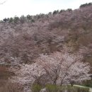 백양산임도 이미지