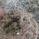 와우한우농장 이미지