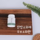 우보가스