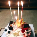 [28주~31주] 임신 8개월