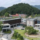 주정차단속-33 이미지