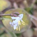 길전농장 이미지