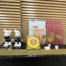 더오름영어전문학원
