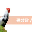 로얄수족관 네이버블로그
