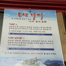 장터소주방 | [통영] 현지인 가성비 다찌 맛집 _물레야 솔직후기