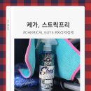 틴팅가이 이미지